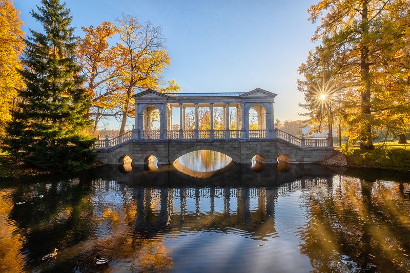 Утренняя гармония с привкусом осени. фото превью