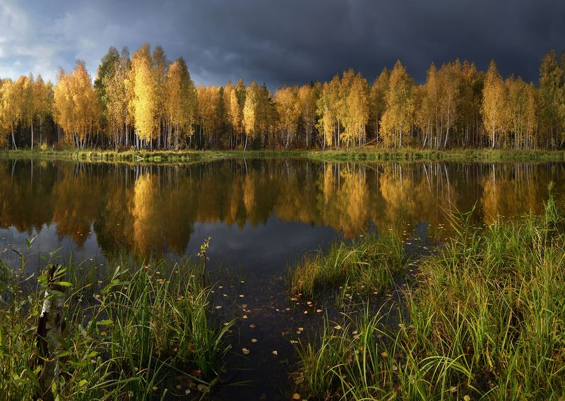 Перед дождём фото превью