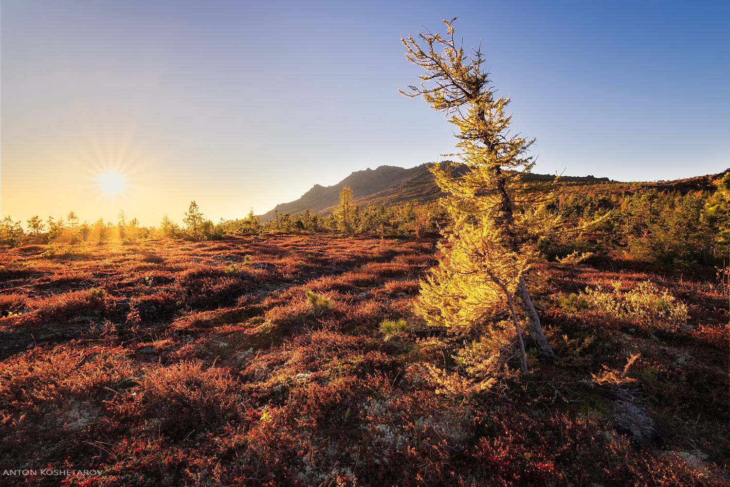 , Антон Кошетаров