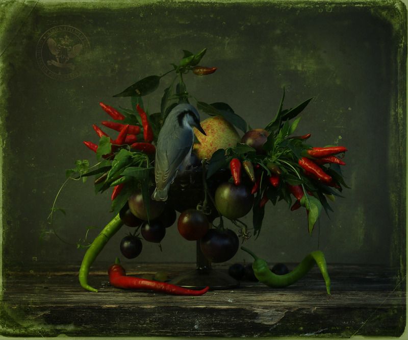 Паслёновое фото превью