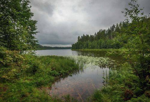 Пасмурно