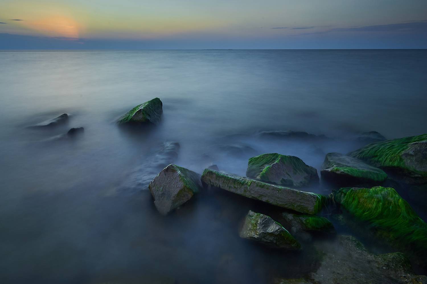 , Бурцев Дмитрий