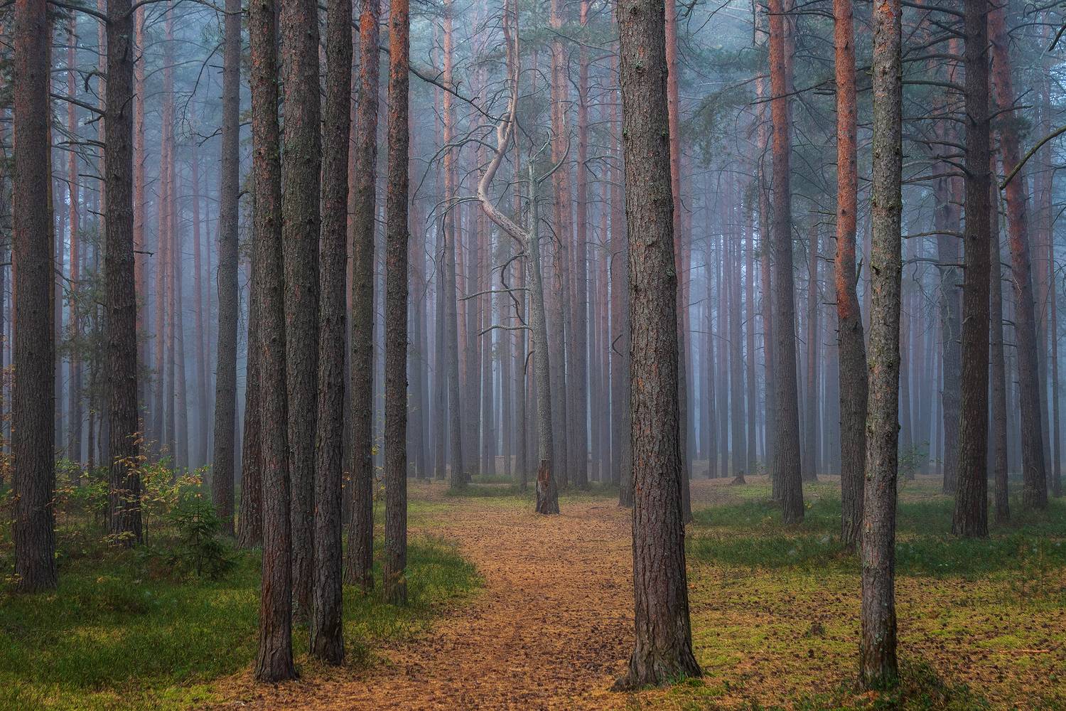 , Еремеев М.