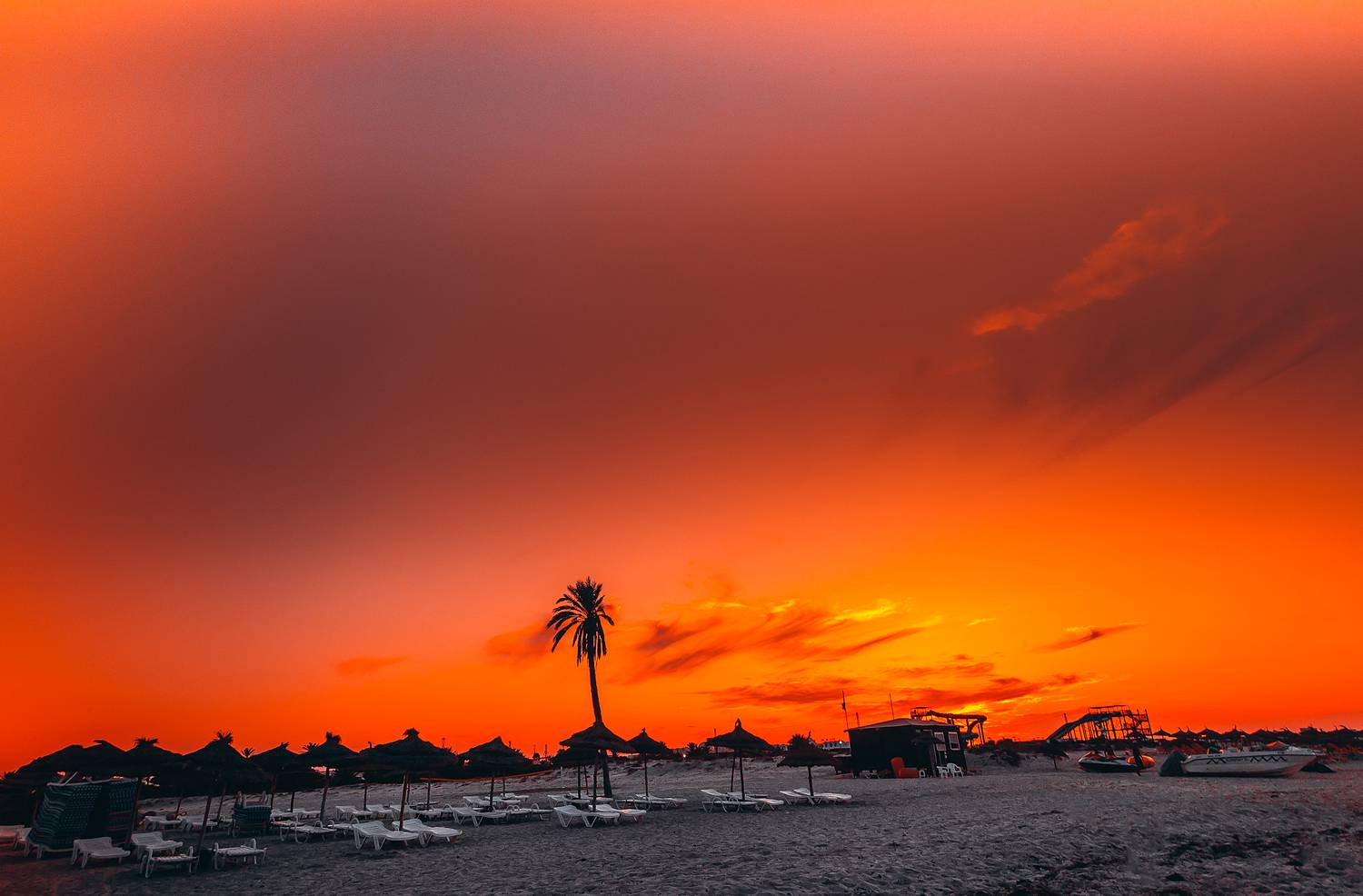 , Трепольский Дмитрий