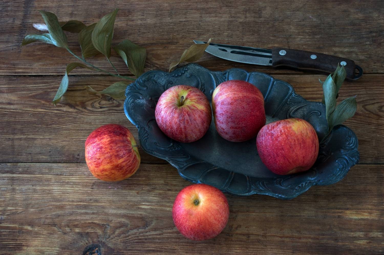 , Людмила Бекман