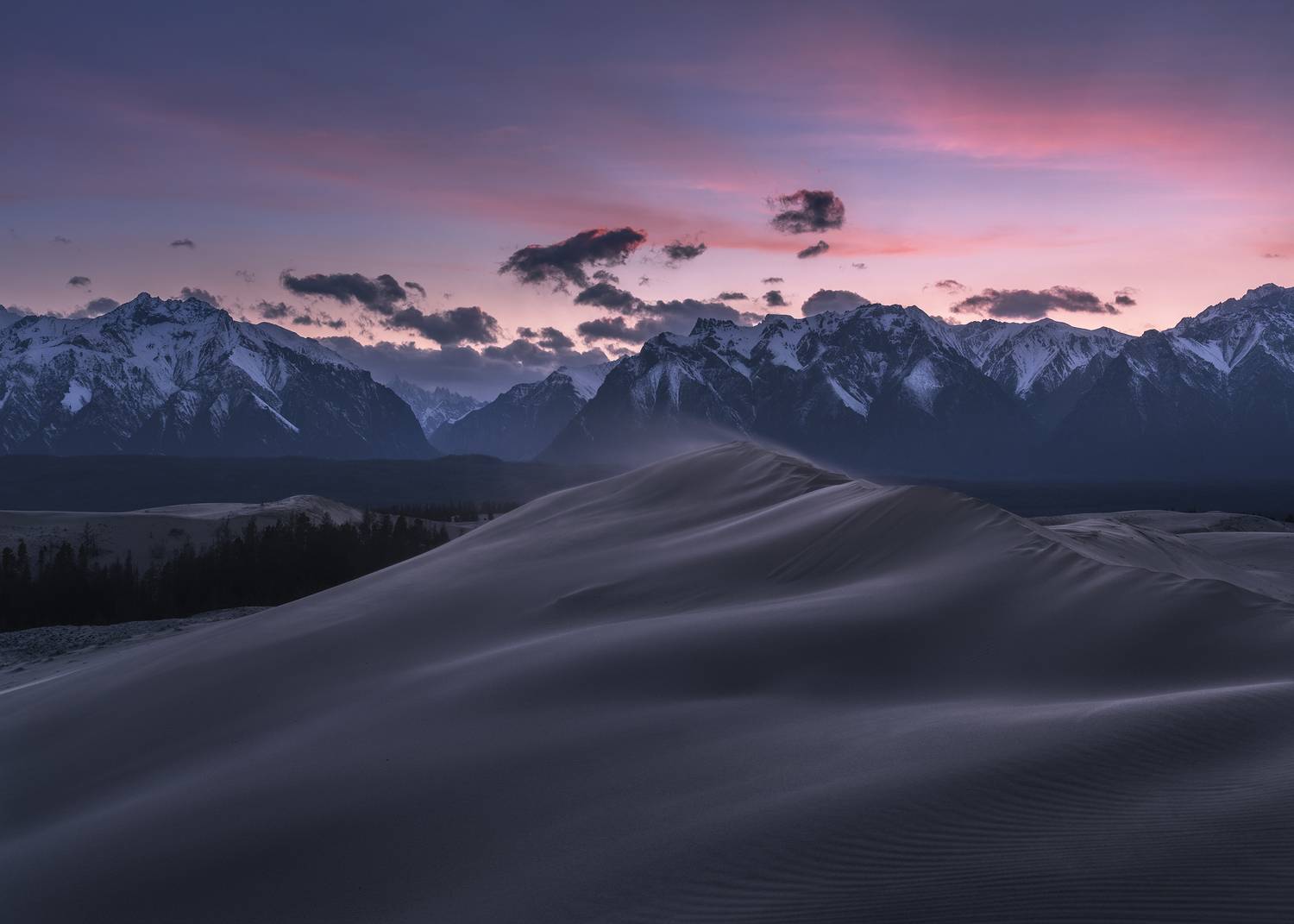 , Политова Анна