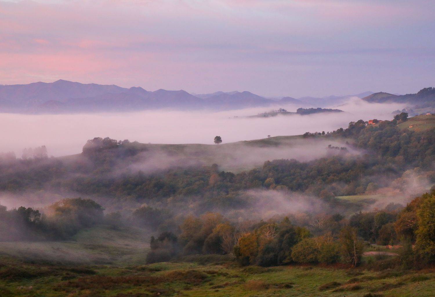 , Алекс Римский