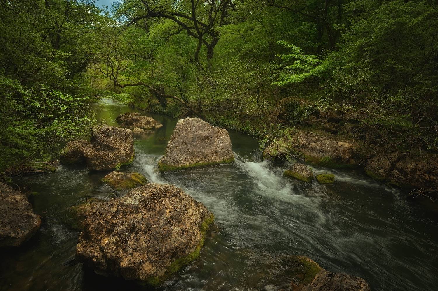 , Алексей Никонов
