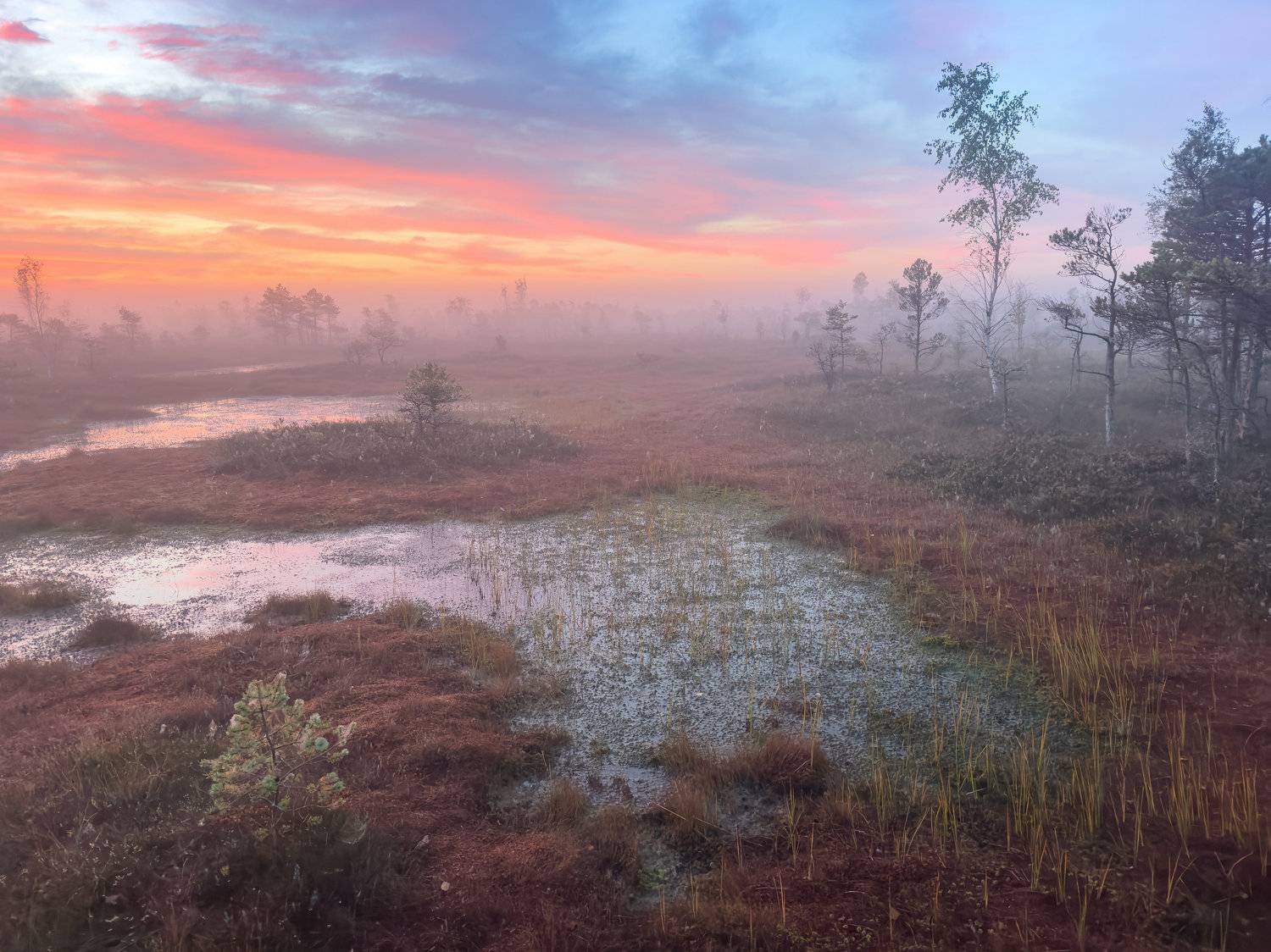 #kemeri, #болото, #утро, #туман, #рассвет, Nikolay Gordon