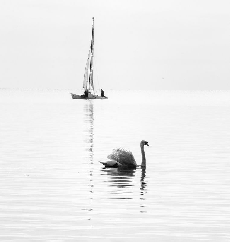 идиллия фото превью