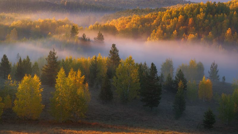 Молодая осень фото превью