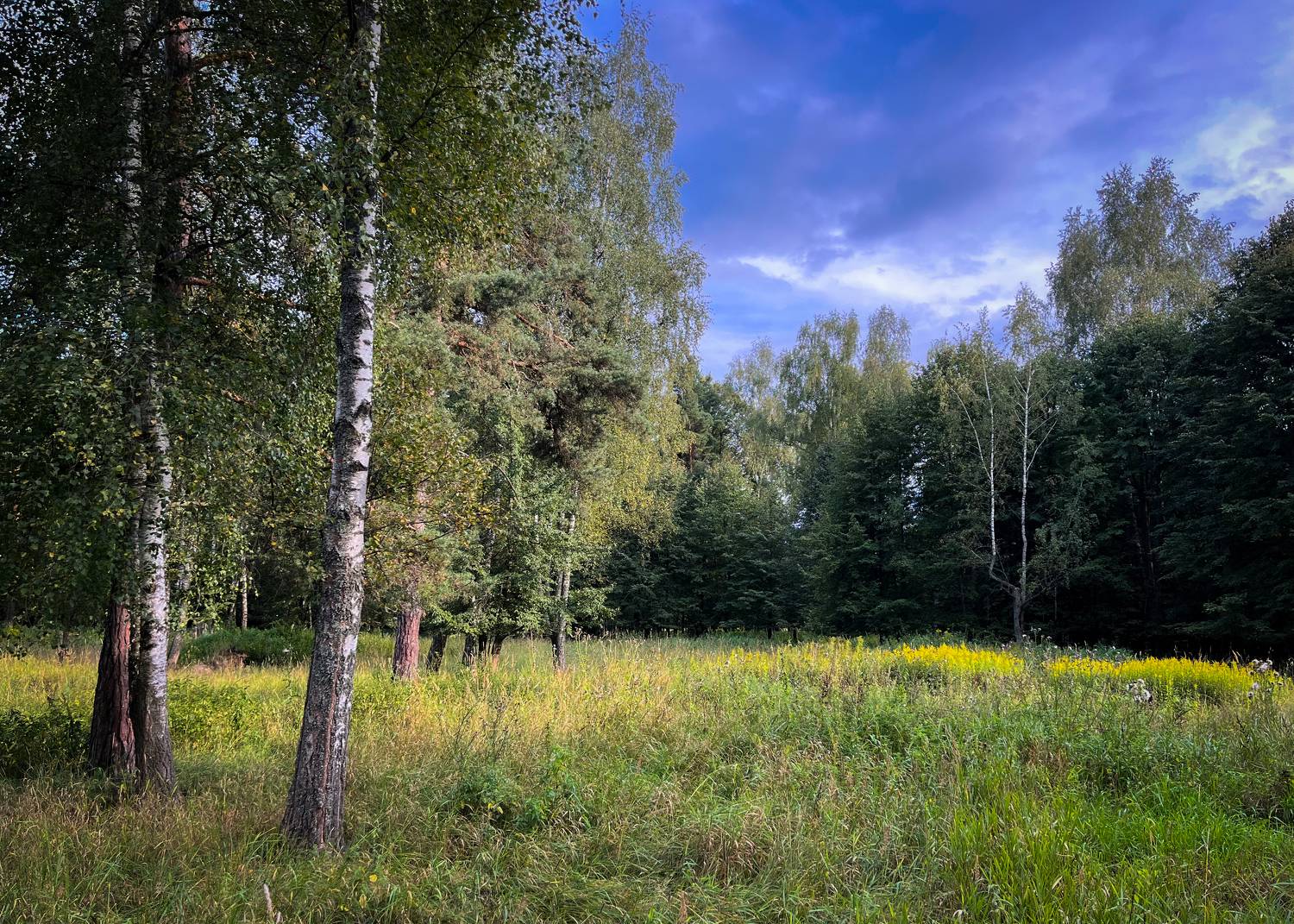 , Михаил Ездаков