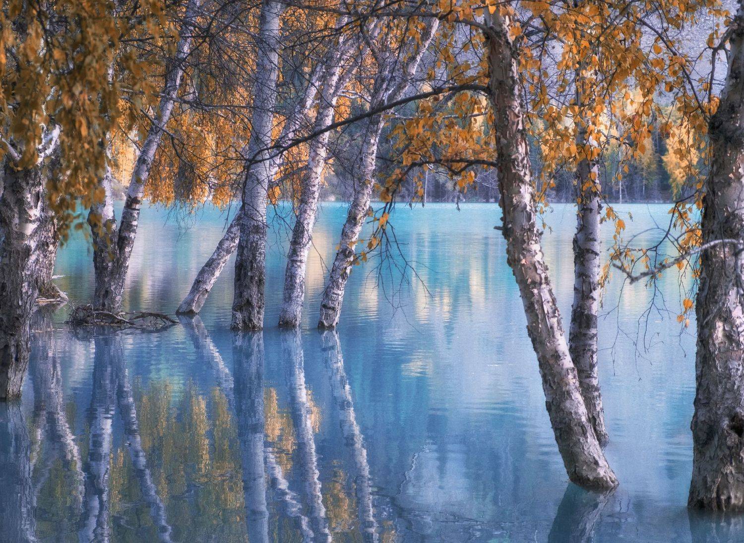 , Светлана Краюшкина