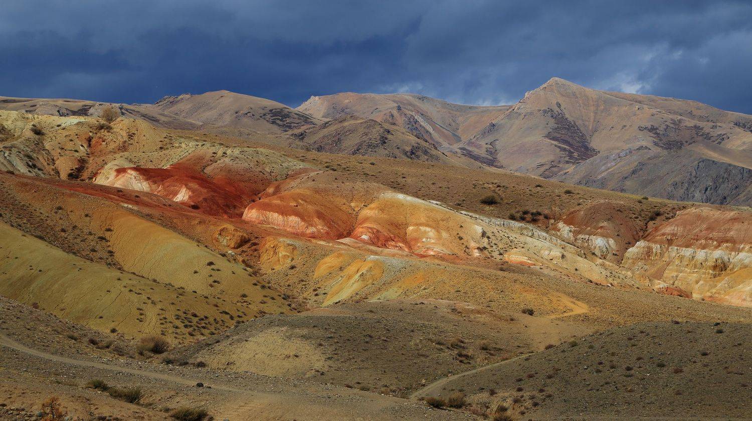 , Евгений Зинов