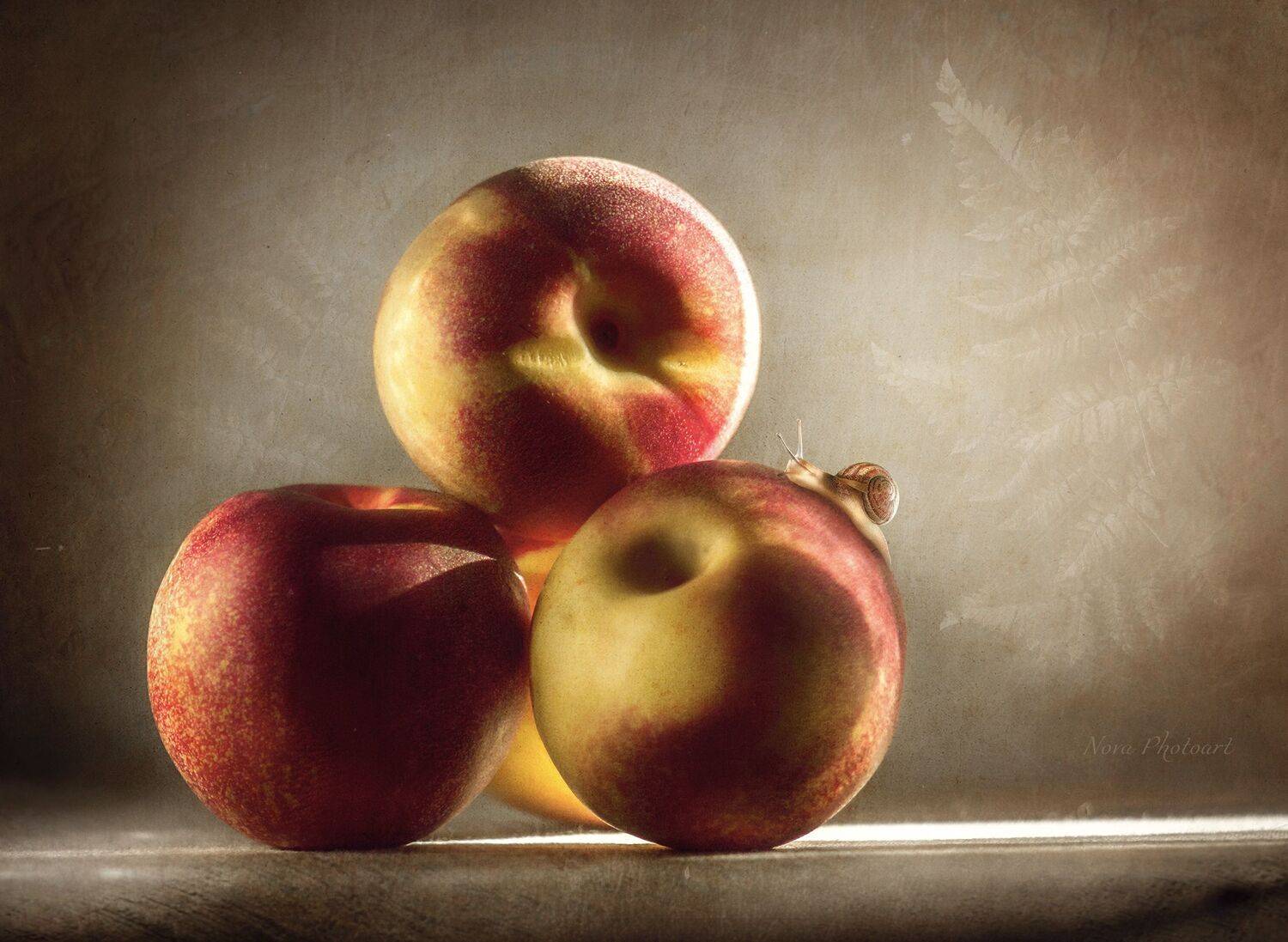 персики, улитка, свет, Svetlana Smirnova