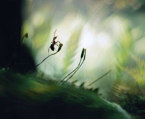 В микрокосме