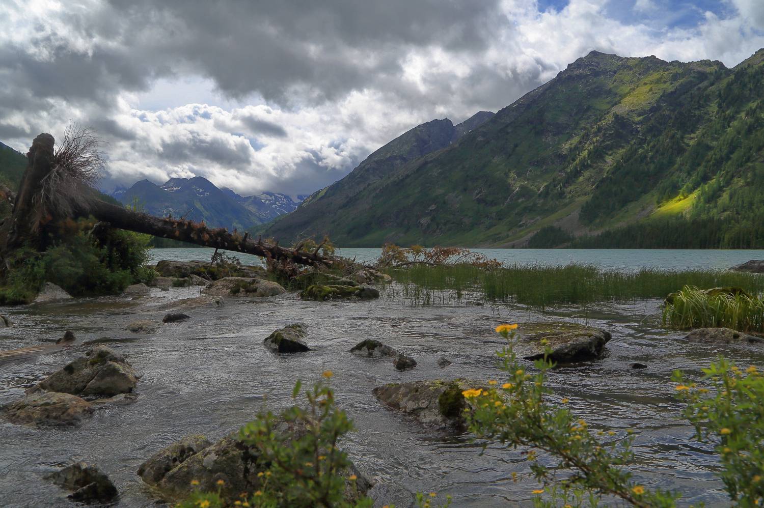 , Евгений Зинов