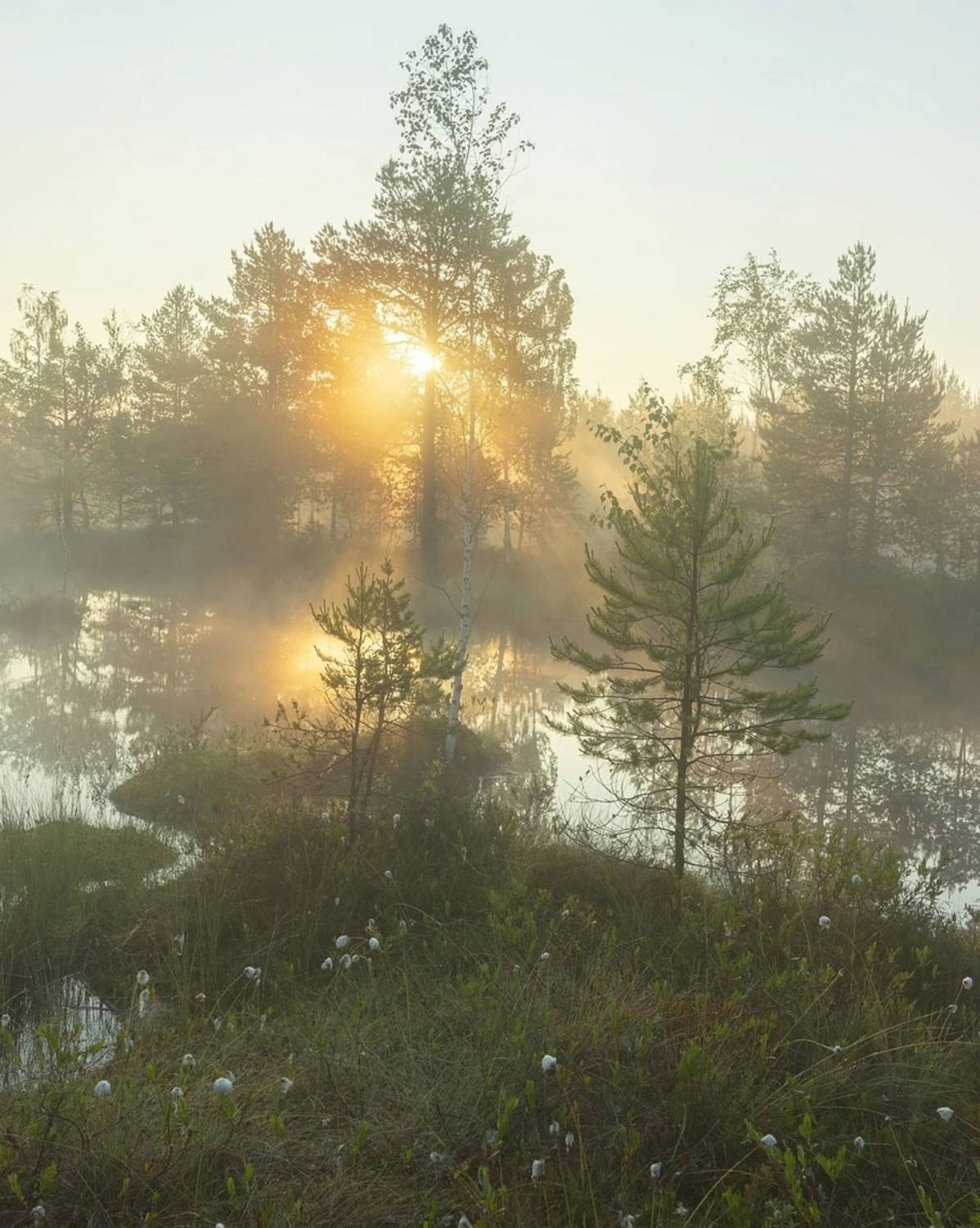 , Петр Косых