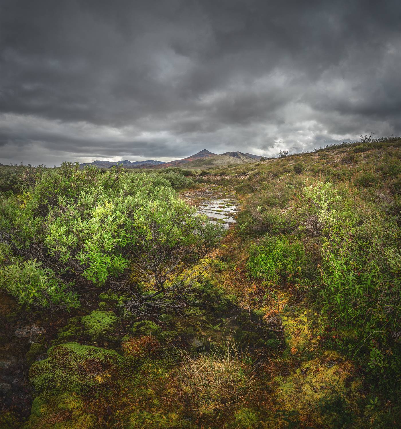 , Андреев Николай