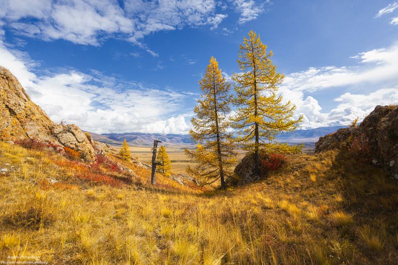 солнце, россия, рассвет, природа, подмосковье, погода, пейзажи, пейзаж, отражение, наукоград, красота, дубна, вода, весна, weather, water, spring, russia, reflection, naukograd, nature, moscow, landscape, dawn, canon, dubna, beauty Муниципальный район Улаганский, Республика Алтай. фото превью