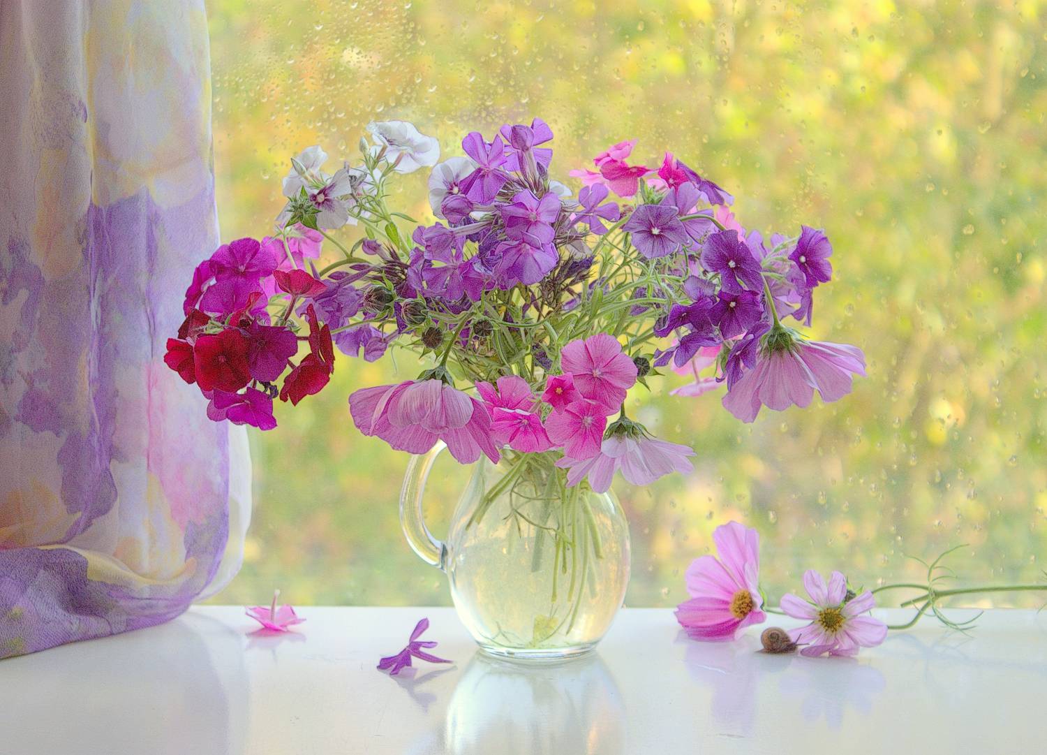 , Хохлова Наталья