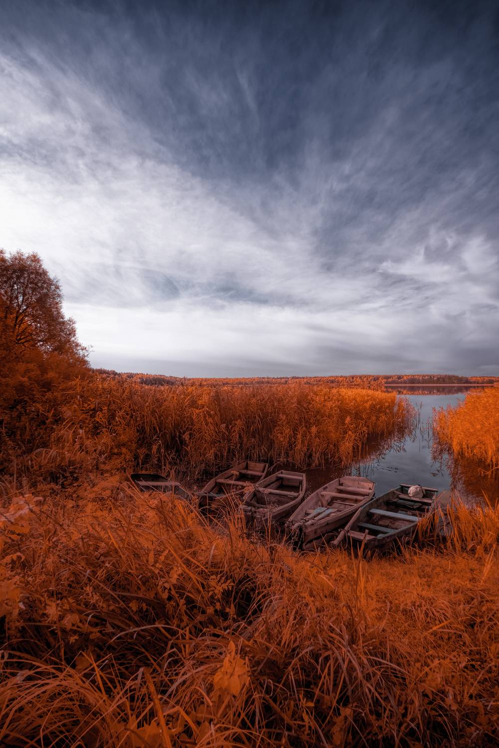 infrared,ик-фото,инфракрасное фото, инфракрасная фотография, пейзаж, осень,  Sixten (Сергей)