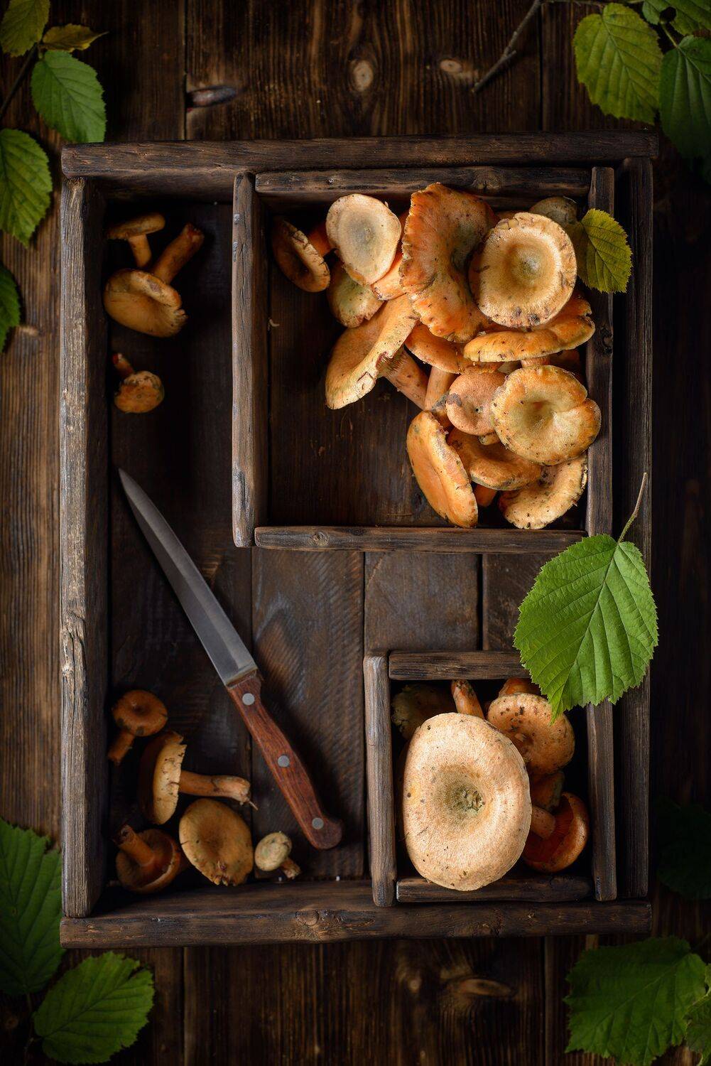 , Сизов Кирилл