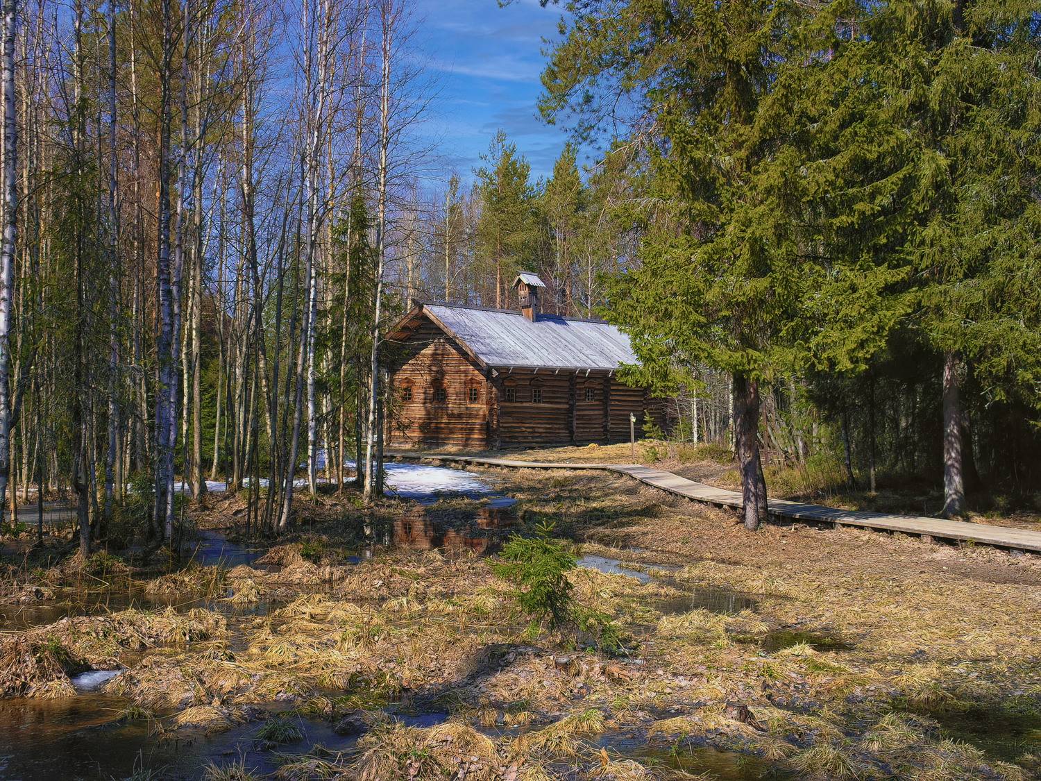 , Владимир Гамаюнов