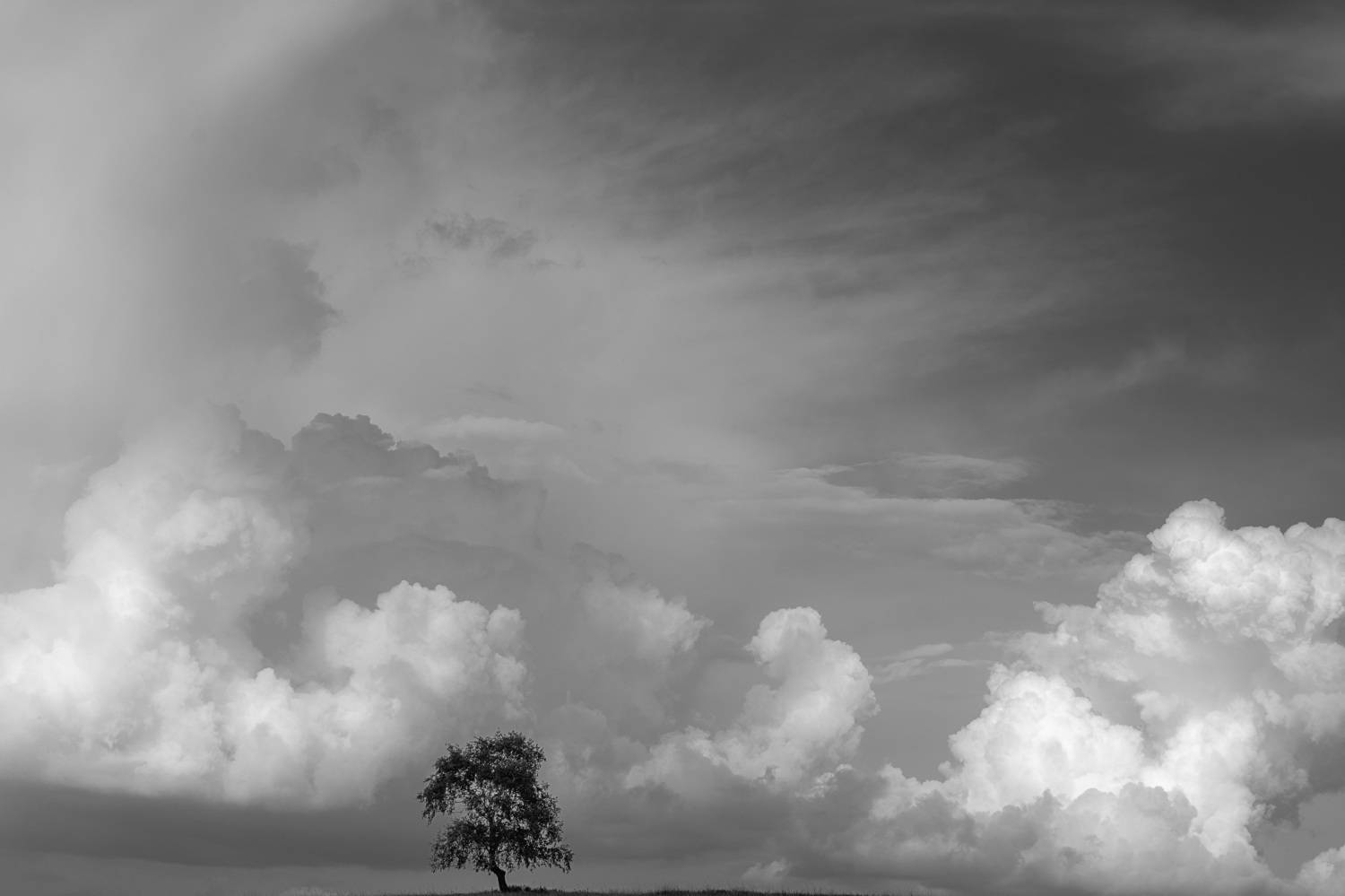 , Андрей Шарапов