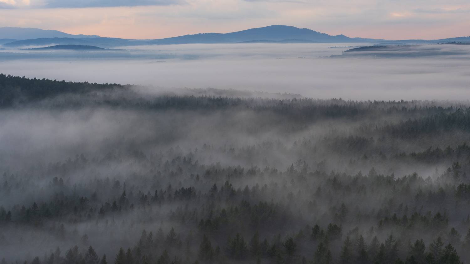 , Таипов Ильгиз