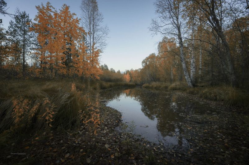 Начало осени фото превью