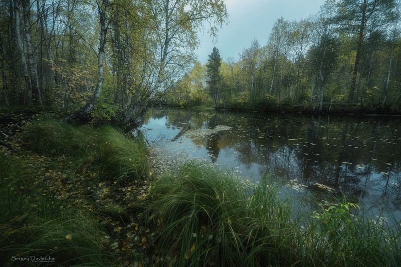 Осень фото превью
