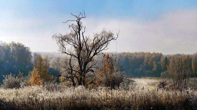 иней,утро. Морозное утро. фото превью