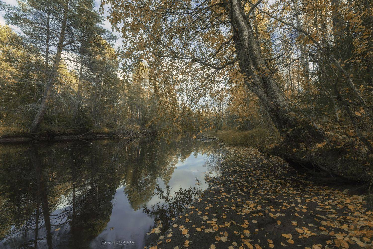 , Сергей Давлетшин