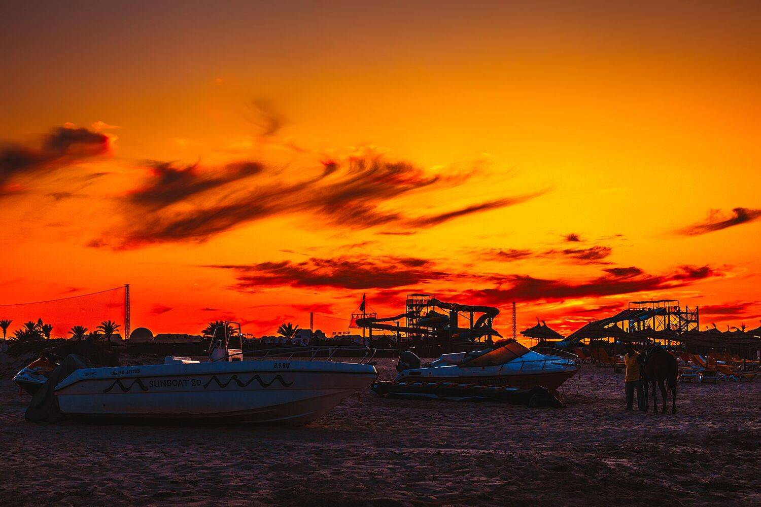 , Трепольский Дмитрий