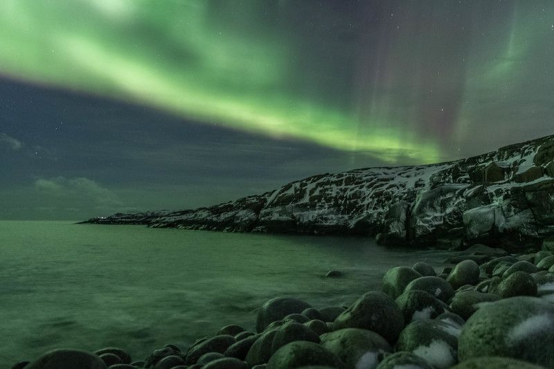Весь накрытый зеленью фото превью