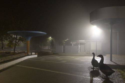 Ночной дозор