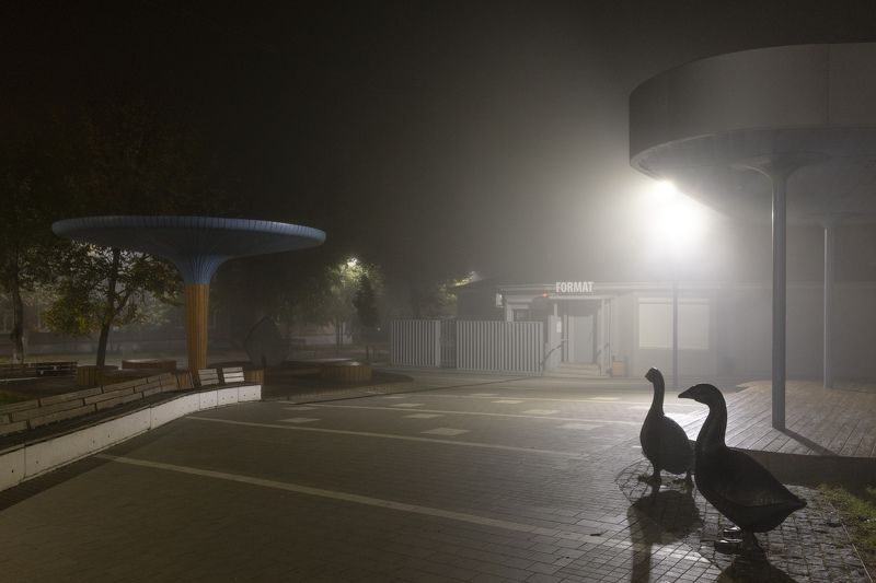 Гуси, ночь, туман, Арзамас Ночной дозор фото превью