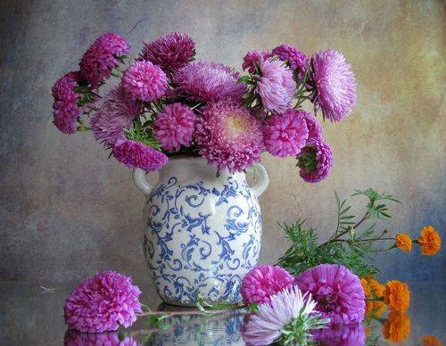 С розовыми астрами