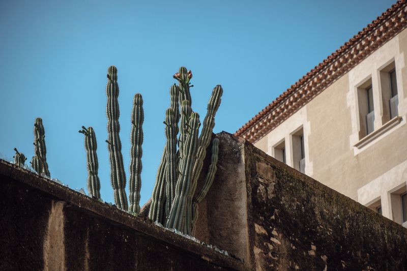 Barcelona фото превью