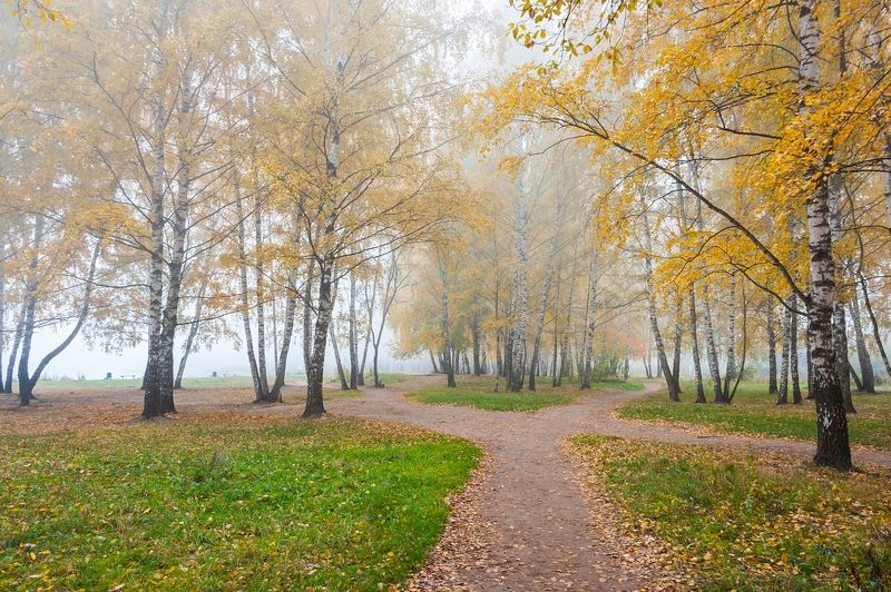 В парке фото превью