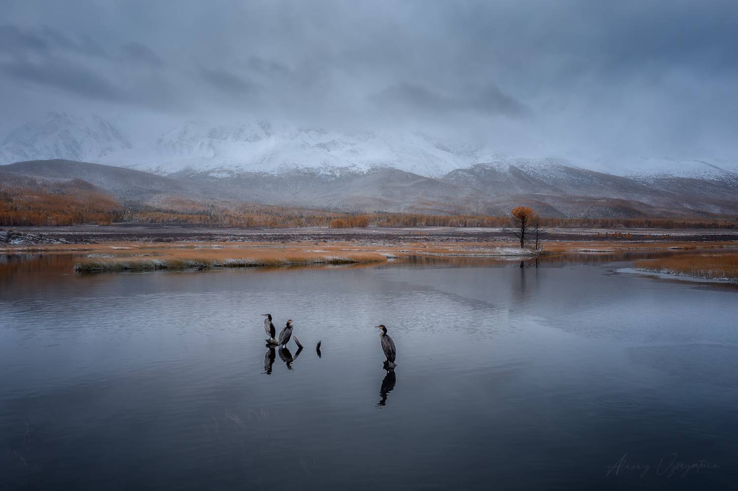altay, autumn, october, cold, trees, mirror, landscape, Алексей Вымятнин