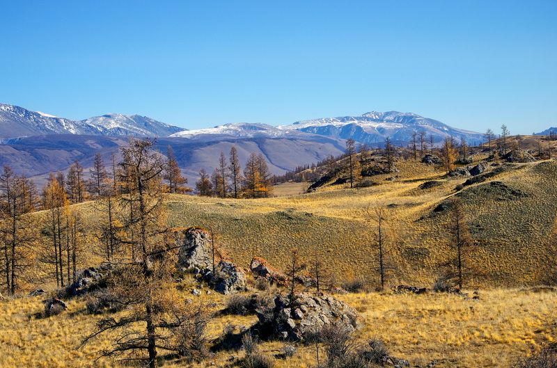 Осенний Алтай фото превью
