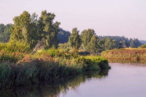 На берегу реки