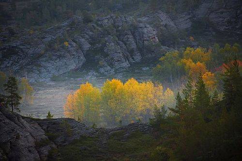 Осеннее утро в Кентских горах