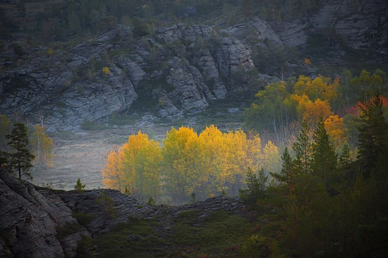 Осеннее утро в Кентских горах фото превью