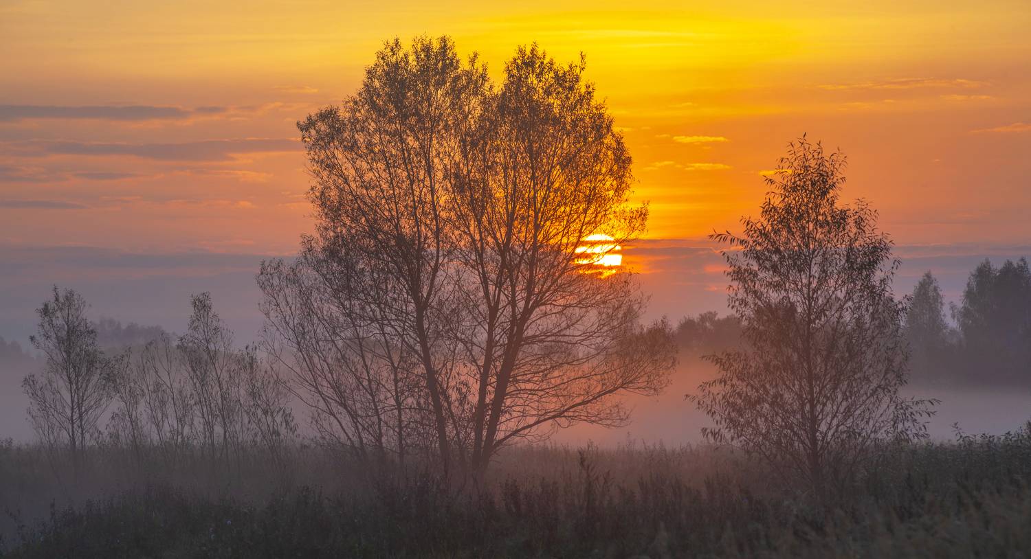 рассвет, Александр Свистков