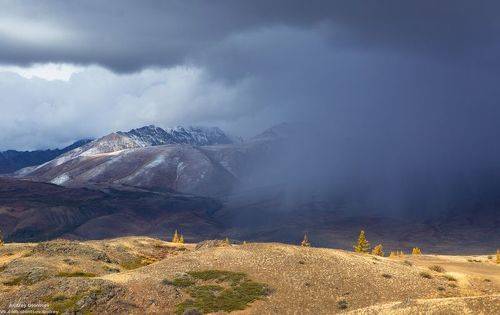 Кош-Агачский район, Республика Алтай.