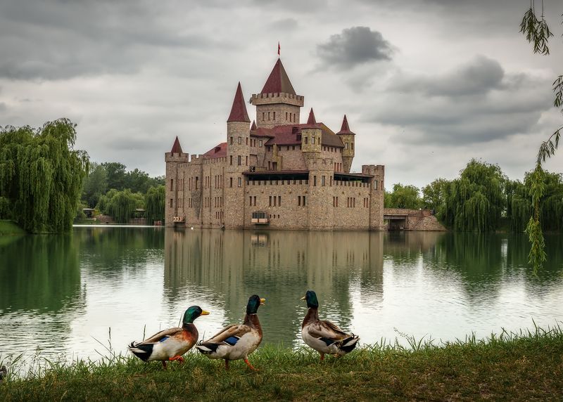 архитектура, замок, кавказ, шато эркен, шато-эркен, кабардино-балкария Стражи фото превью