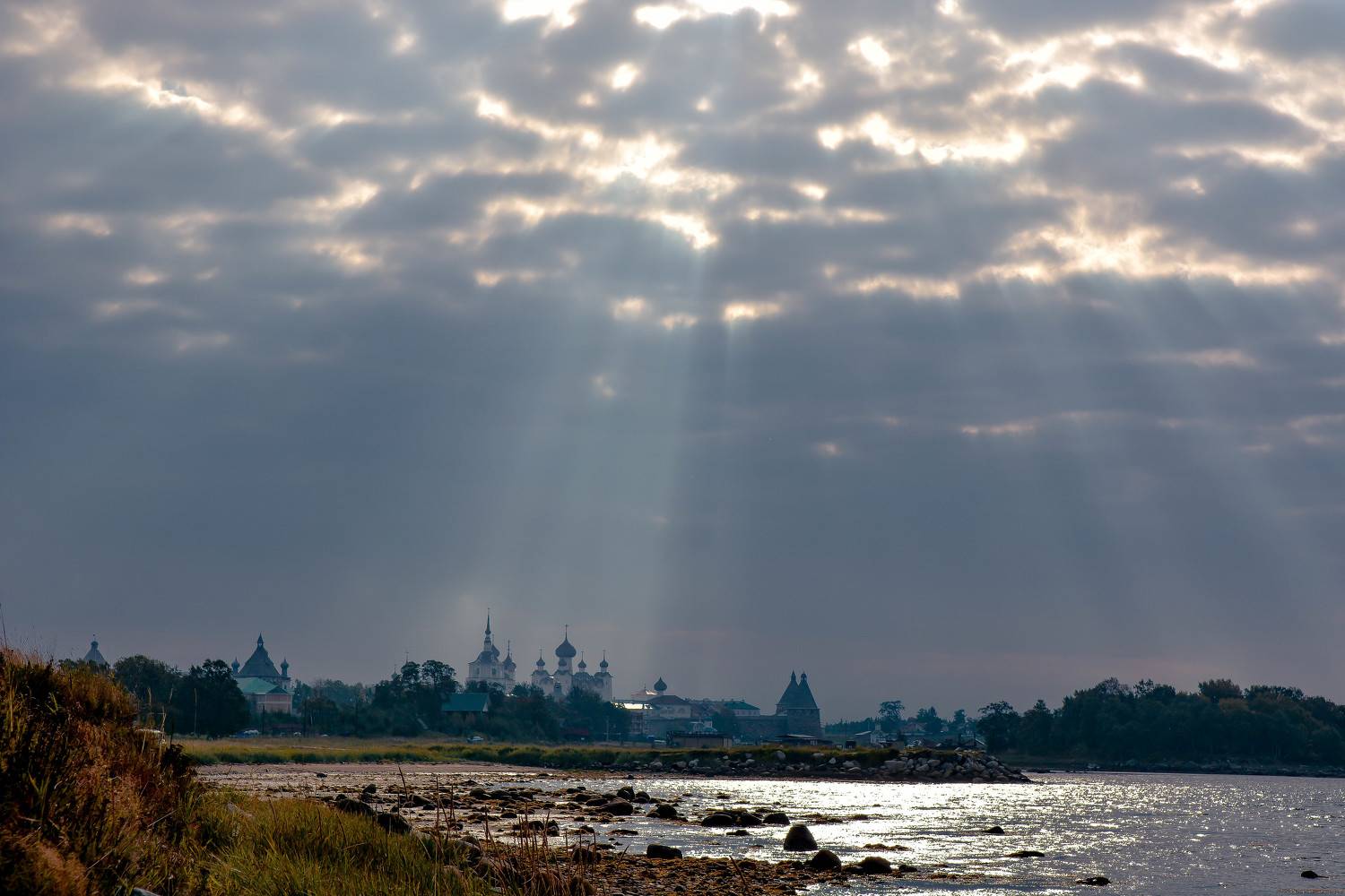 , Алексей Ильин